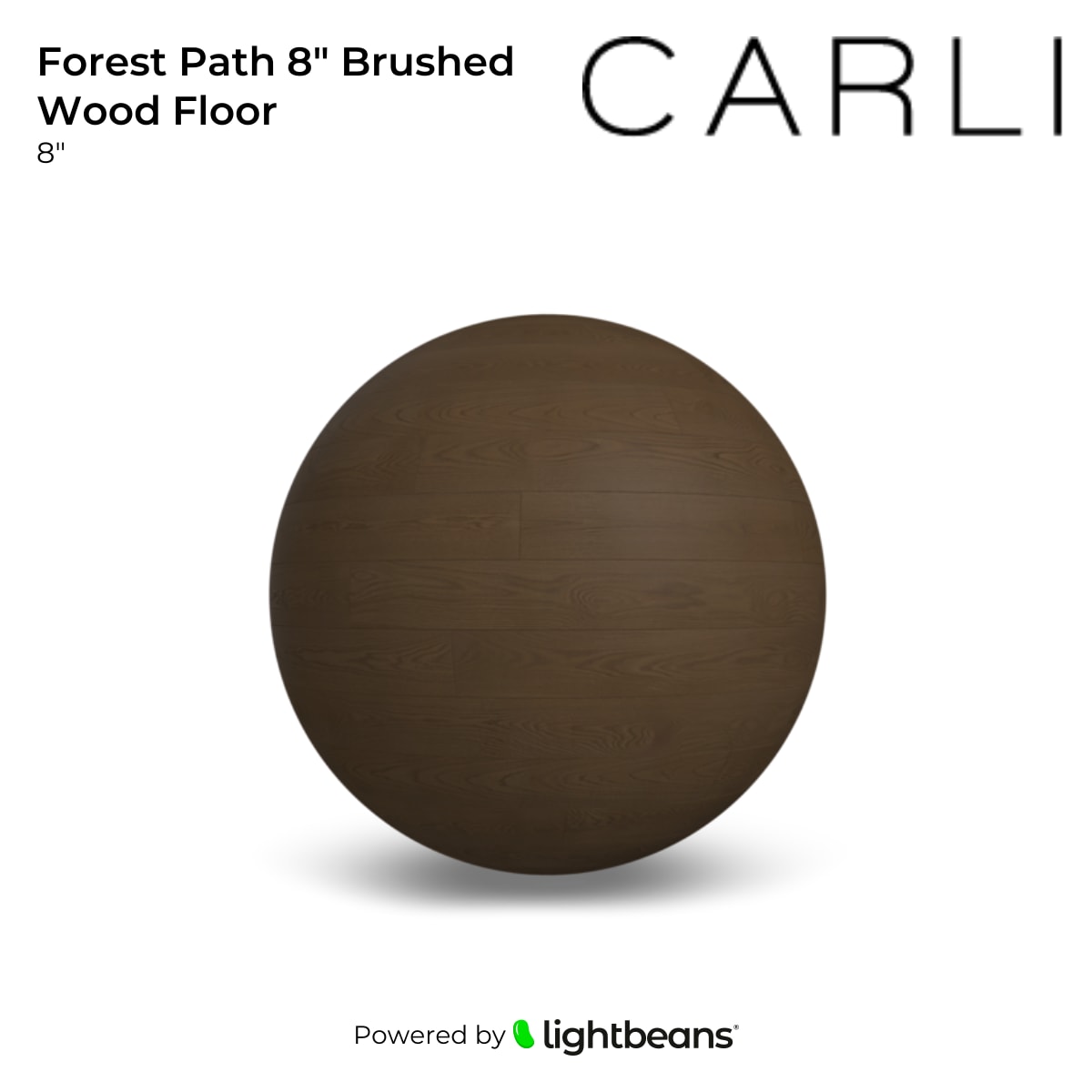 Forest Path 8