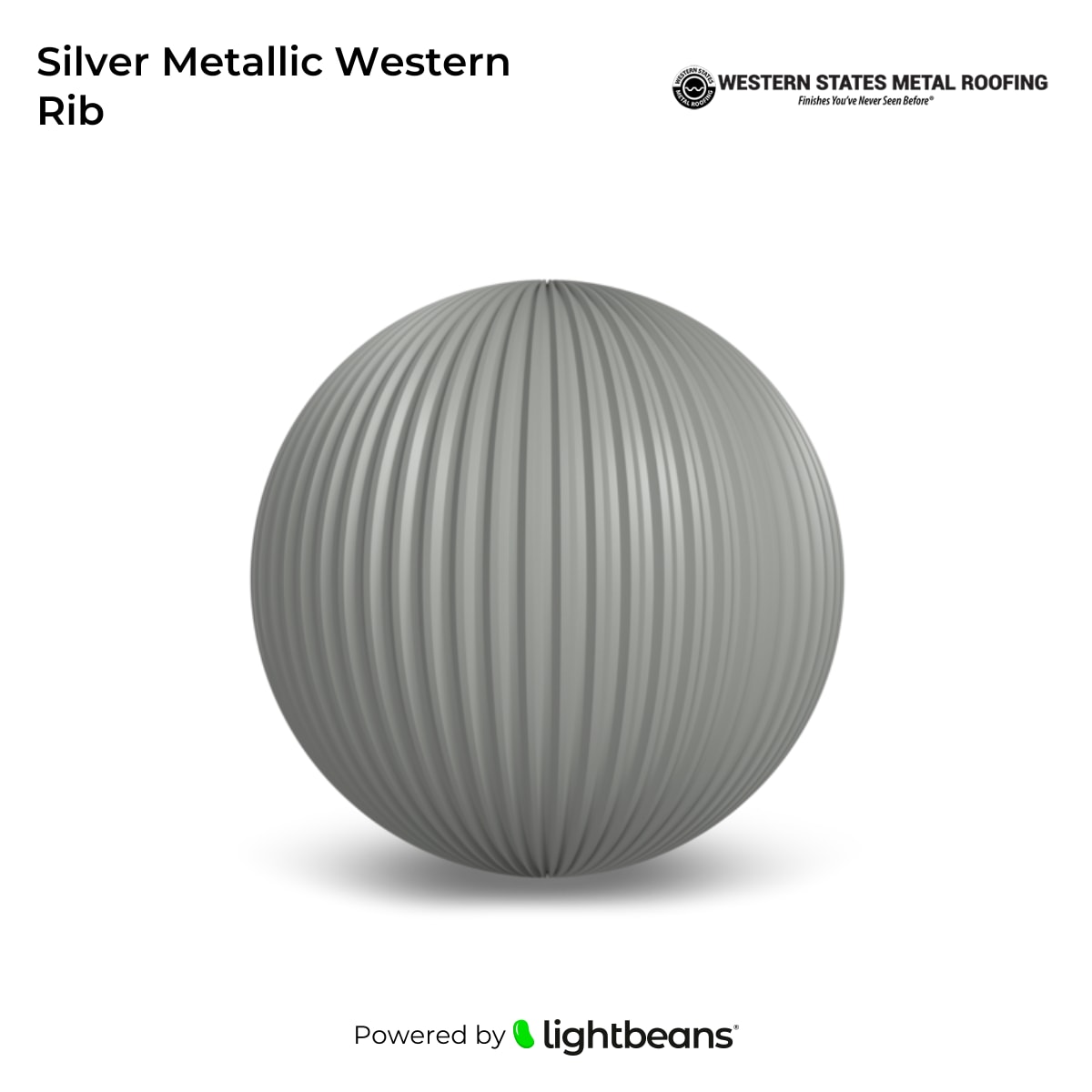 Texture Silver Metallic Western Rib de Western States Metal Roofing